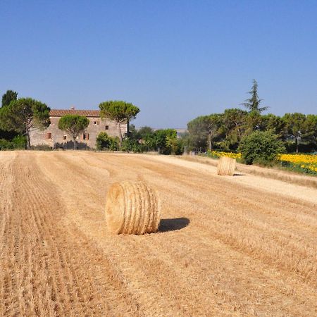 B&B Il Molinello Asciano Esterno foto